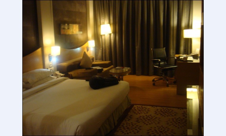 Room in Radisson