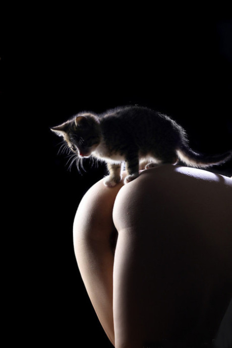 9b54d520nc01debea9a7a&690.jpg