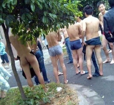 δ1.jpg