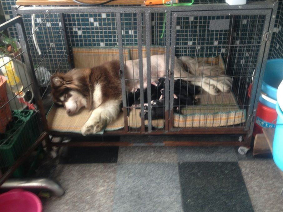 QQͼƬ20130613101521.jpg