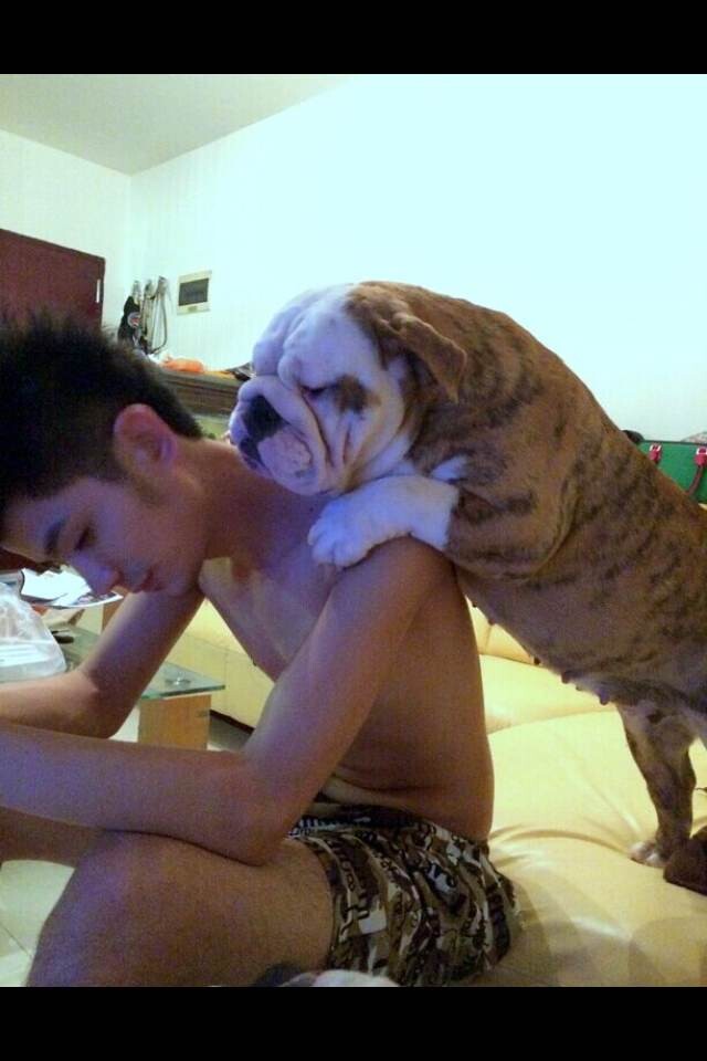 QQͼƬ20140601065038.jpg