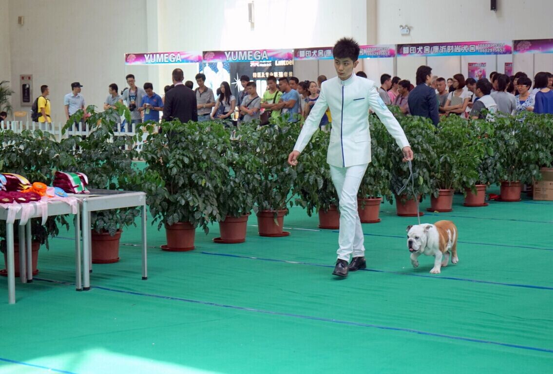 QQͼƬ20140605190242.jpg
