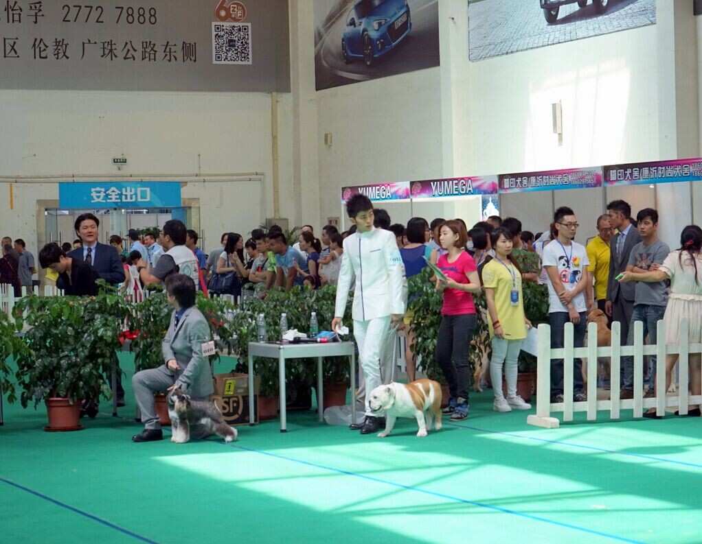 QQͼƬ20140605190306.jpg