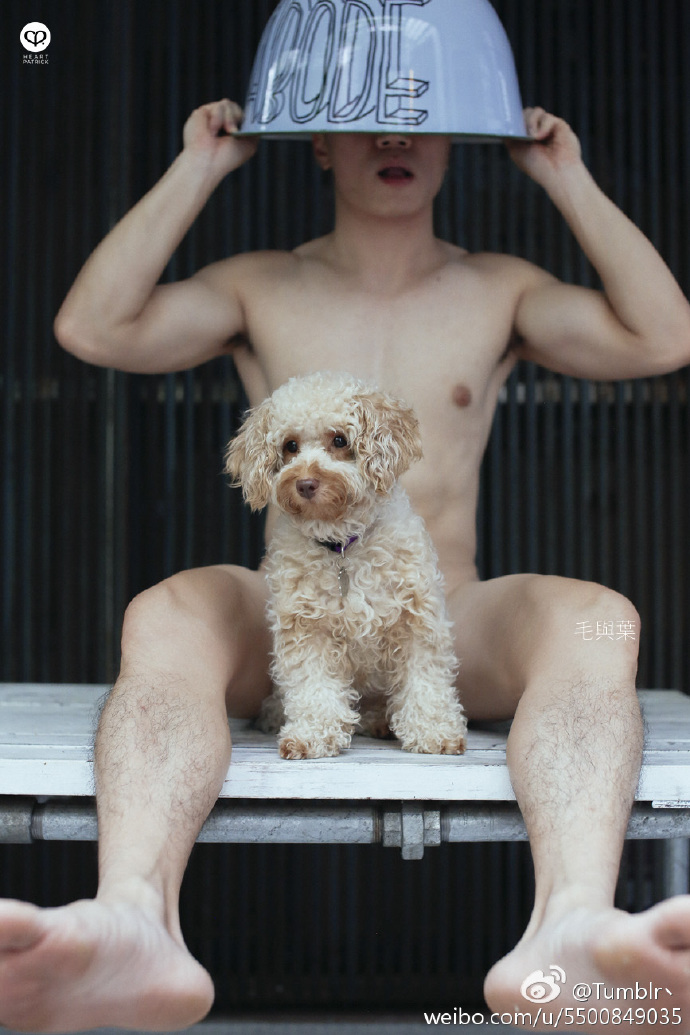 0060h07xly1faw9njw6yrj30o3104ah00.jpg