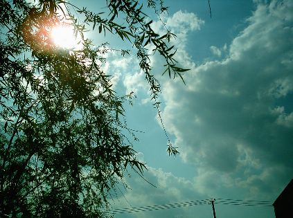 c385212b41490df5e6cd409f.jpg