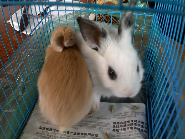 20090501186.jpg