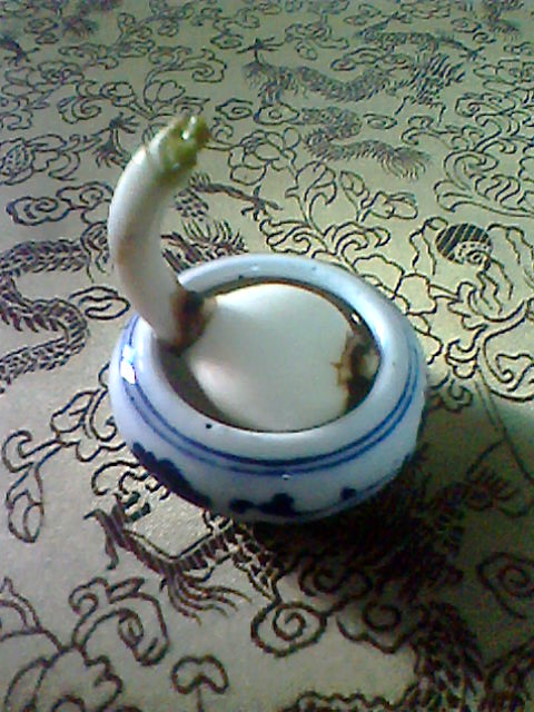 IMG1492A.jpg