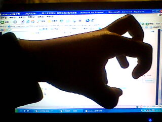 IMG1519A.jpg