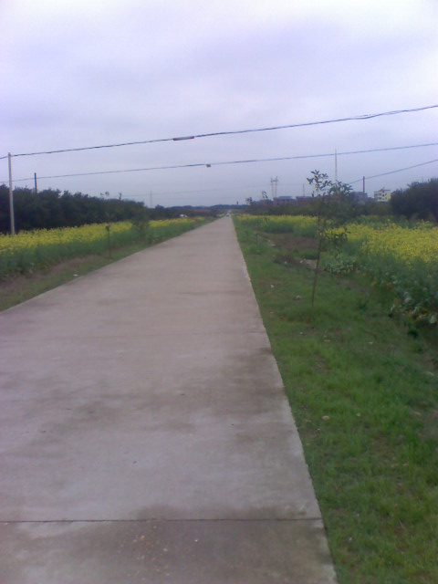 moto_2797.jpg