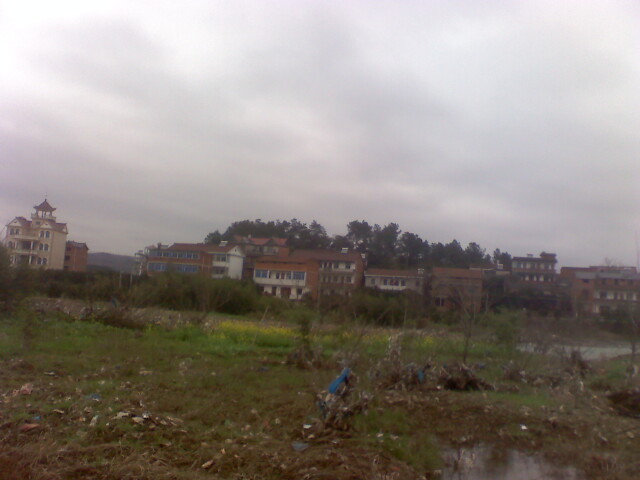 moto_2795.jpg