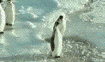 e65a72fd29e6183808244d55.jpg