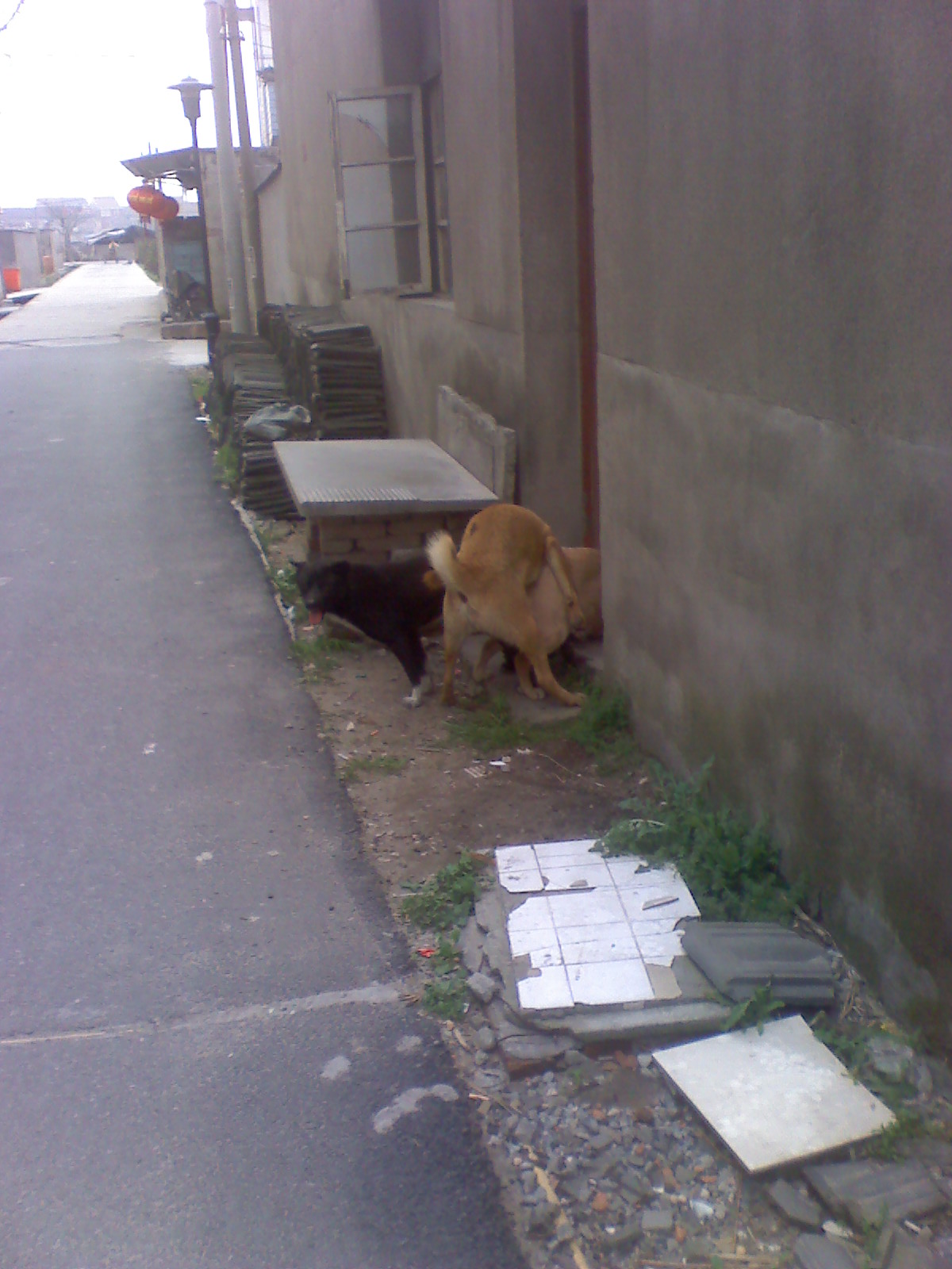 moto_2840.jpg