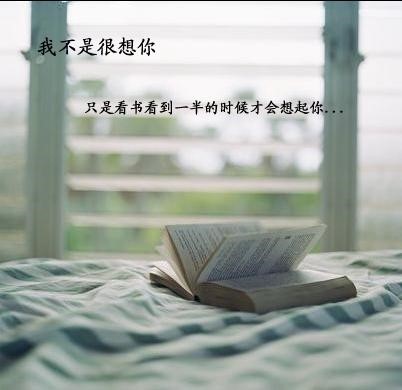 b_large_ieGX_3b97000134e32d0e.jpg