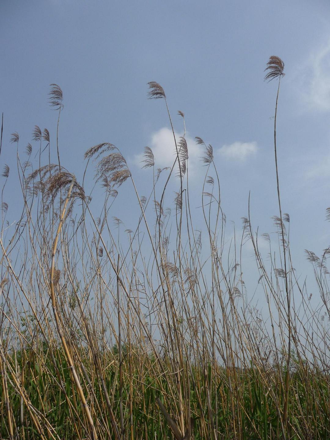P1010336.JPG