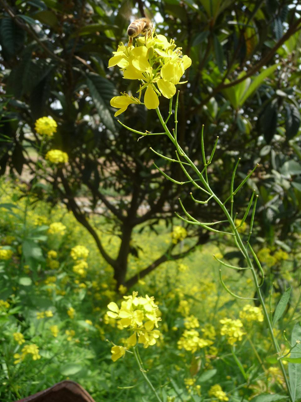 P1010467.JPG