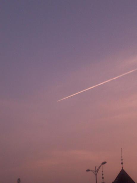 20100416408.jpg