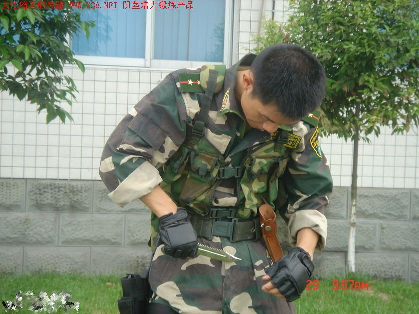 200741411415438727.jpg