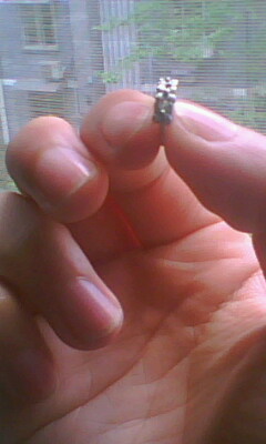 IMG0073A.jpg