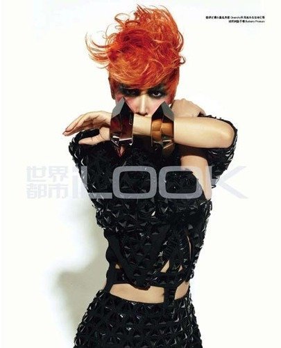 1088_67937862_repaste[1].jpg