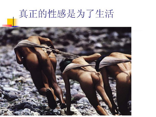 5_1283777.jpg