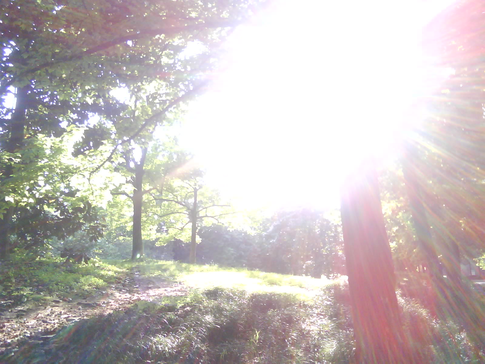 Ƭ0121.jpg
