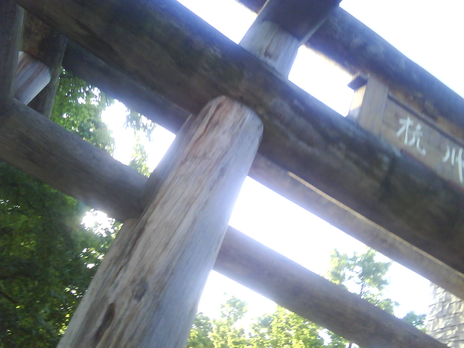Ƭ0138.jpg