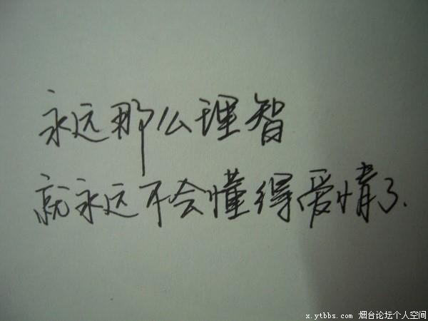 512664_1275655973jcF7.jpg