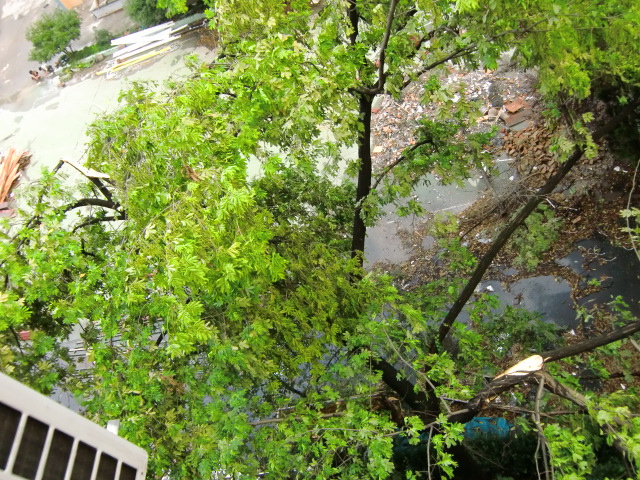 CIMG0589.JPG