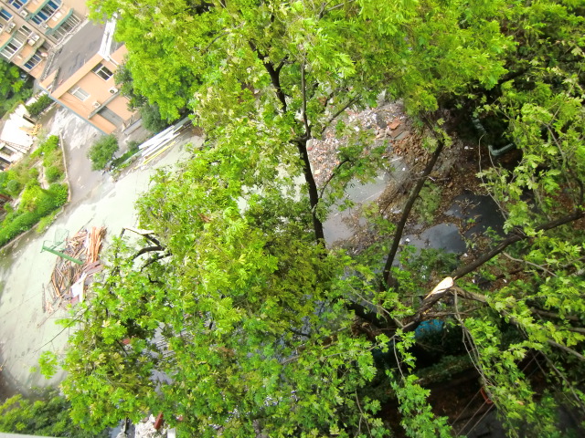 CIMG0591.JPG