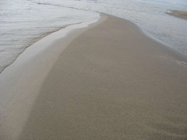 200691813503540054.gif