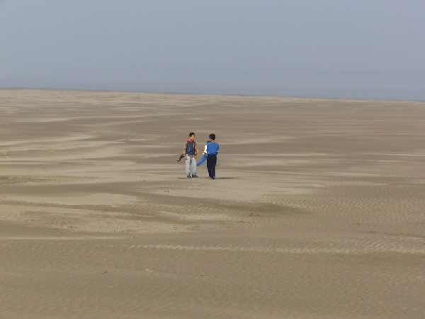 20069181413054966.gif