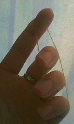 IMG0107A.jpg