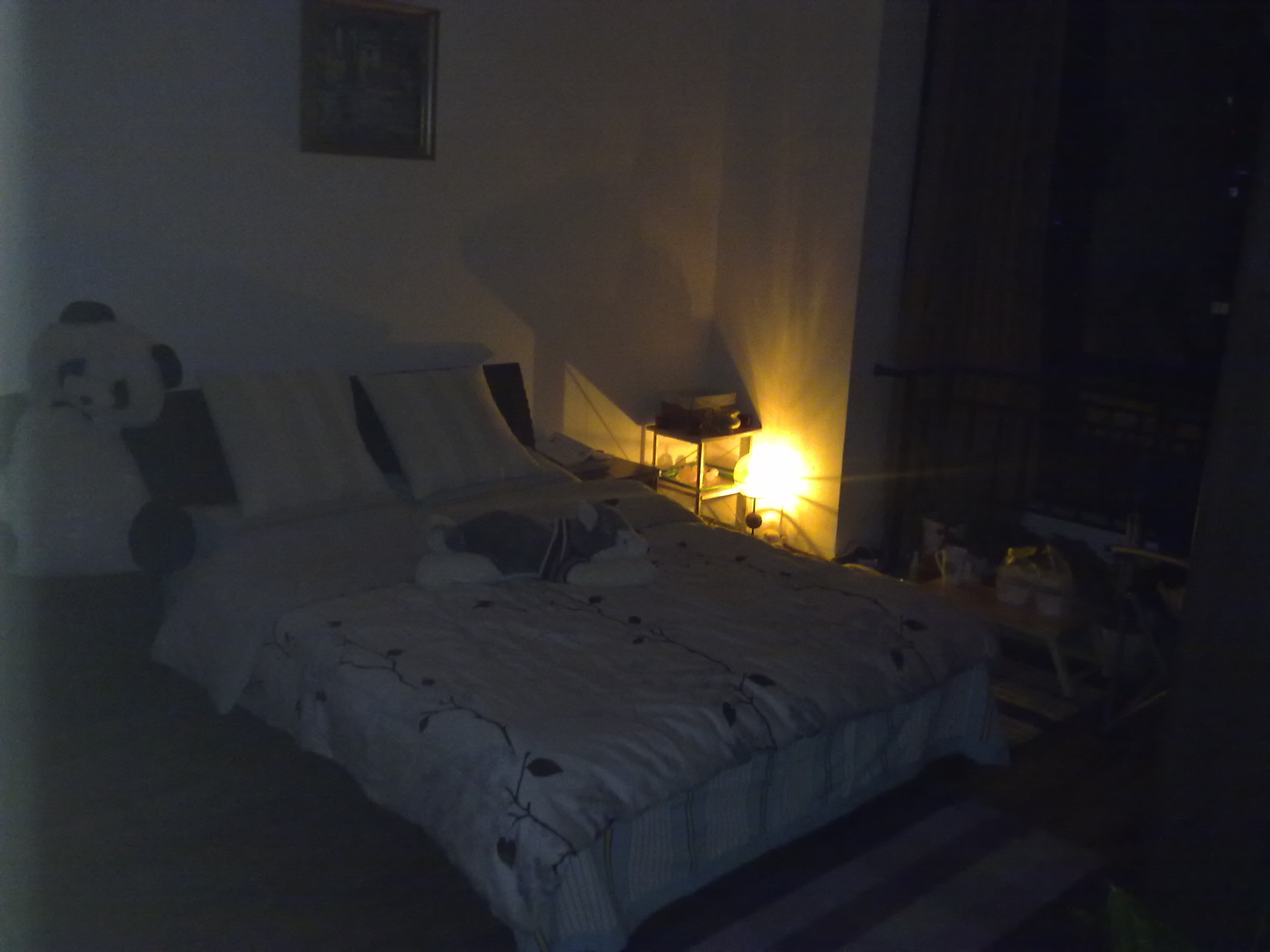 20100812068.jpg