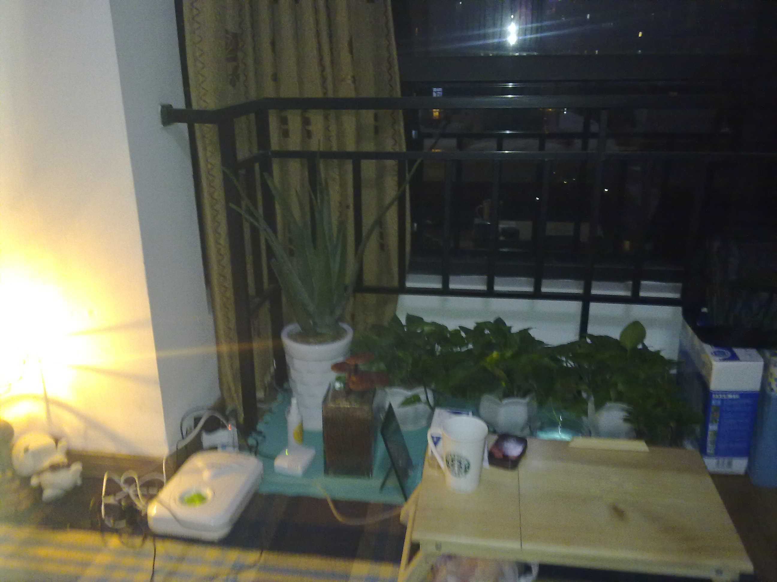 20100812072.jpg