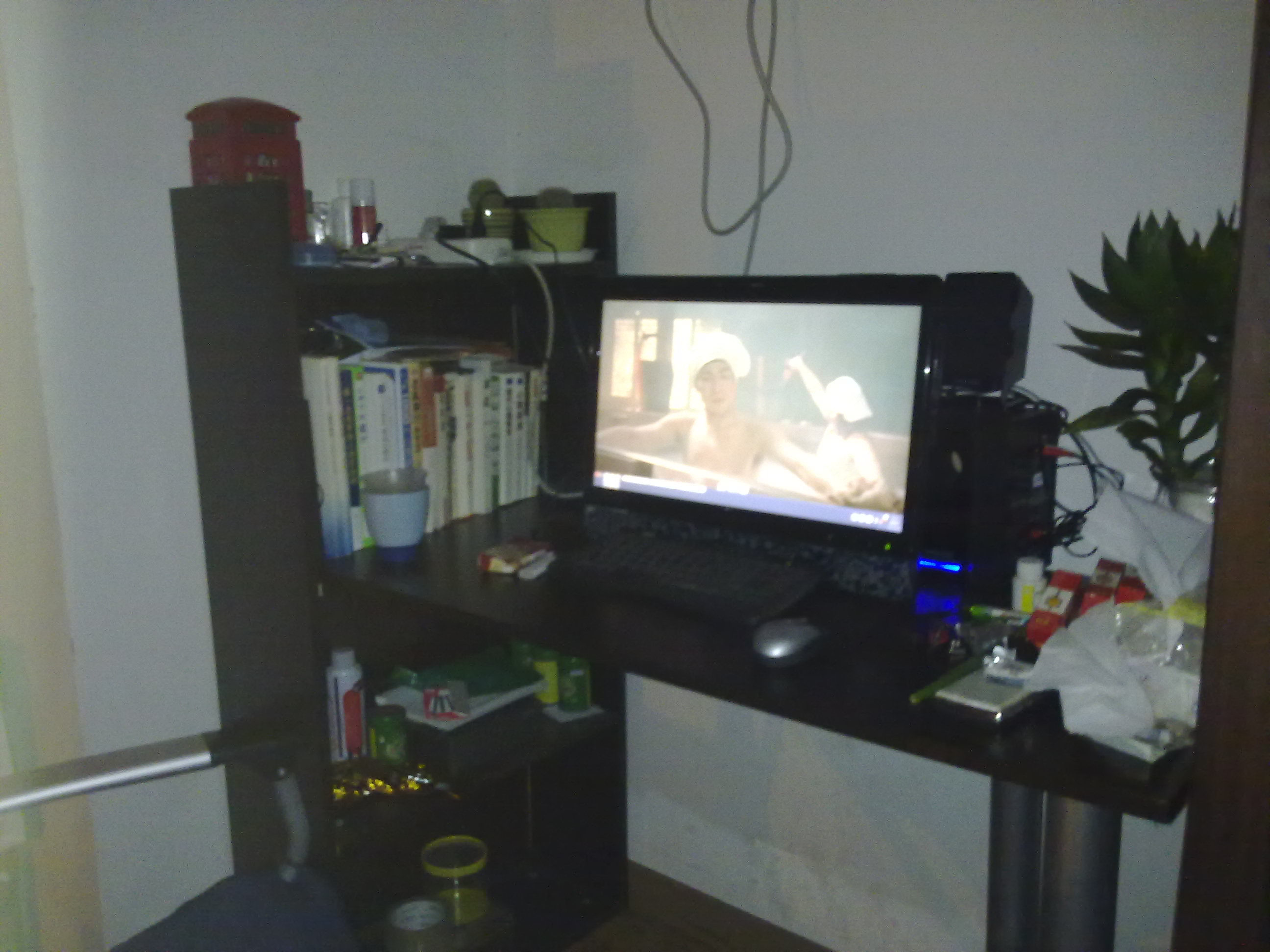 20100812074.jpg