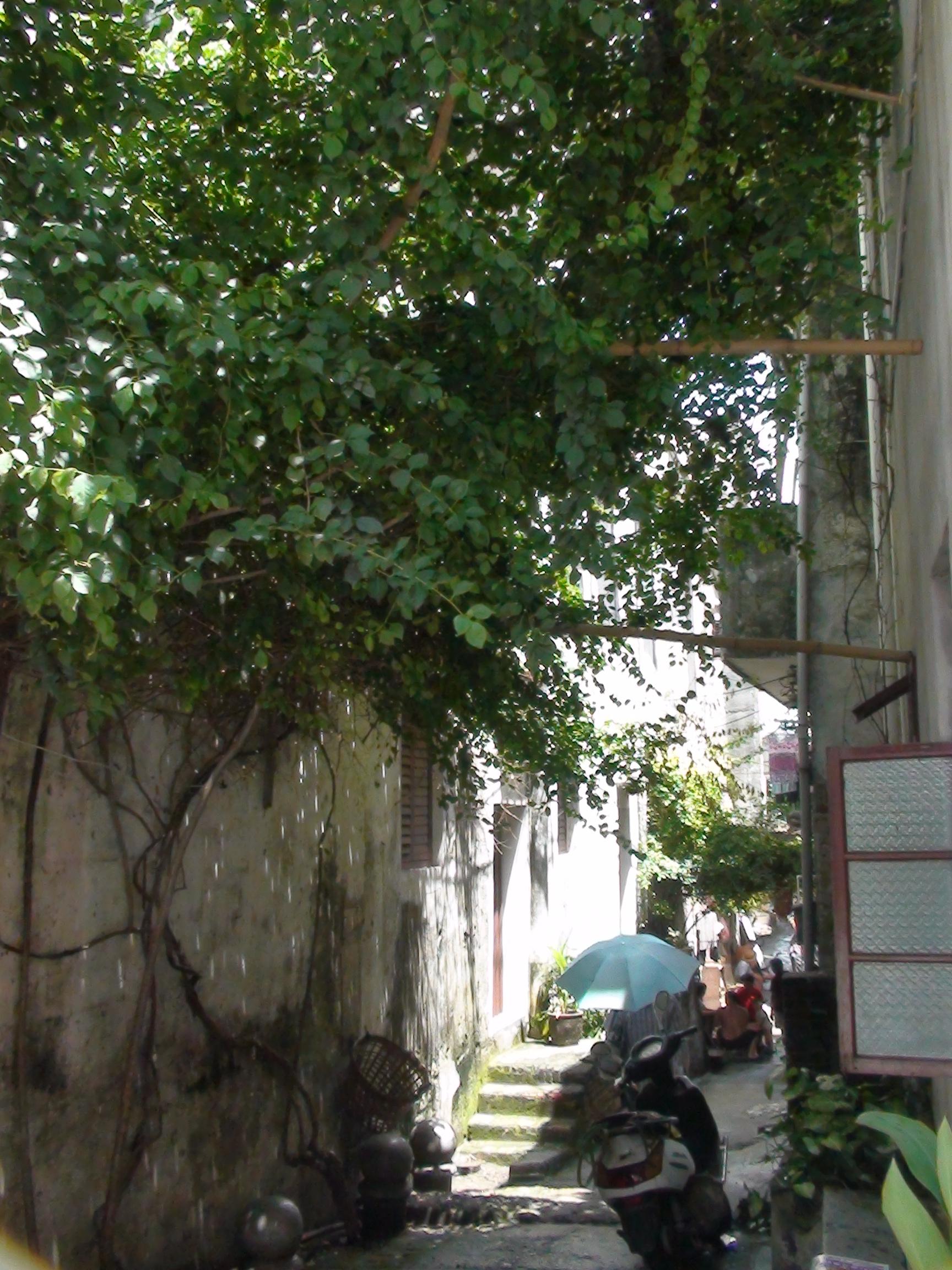 DSC00476.JPG