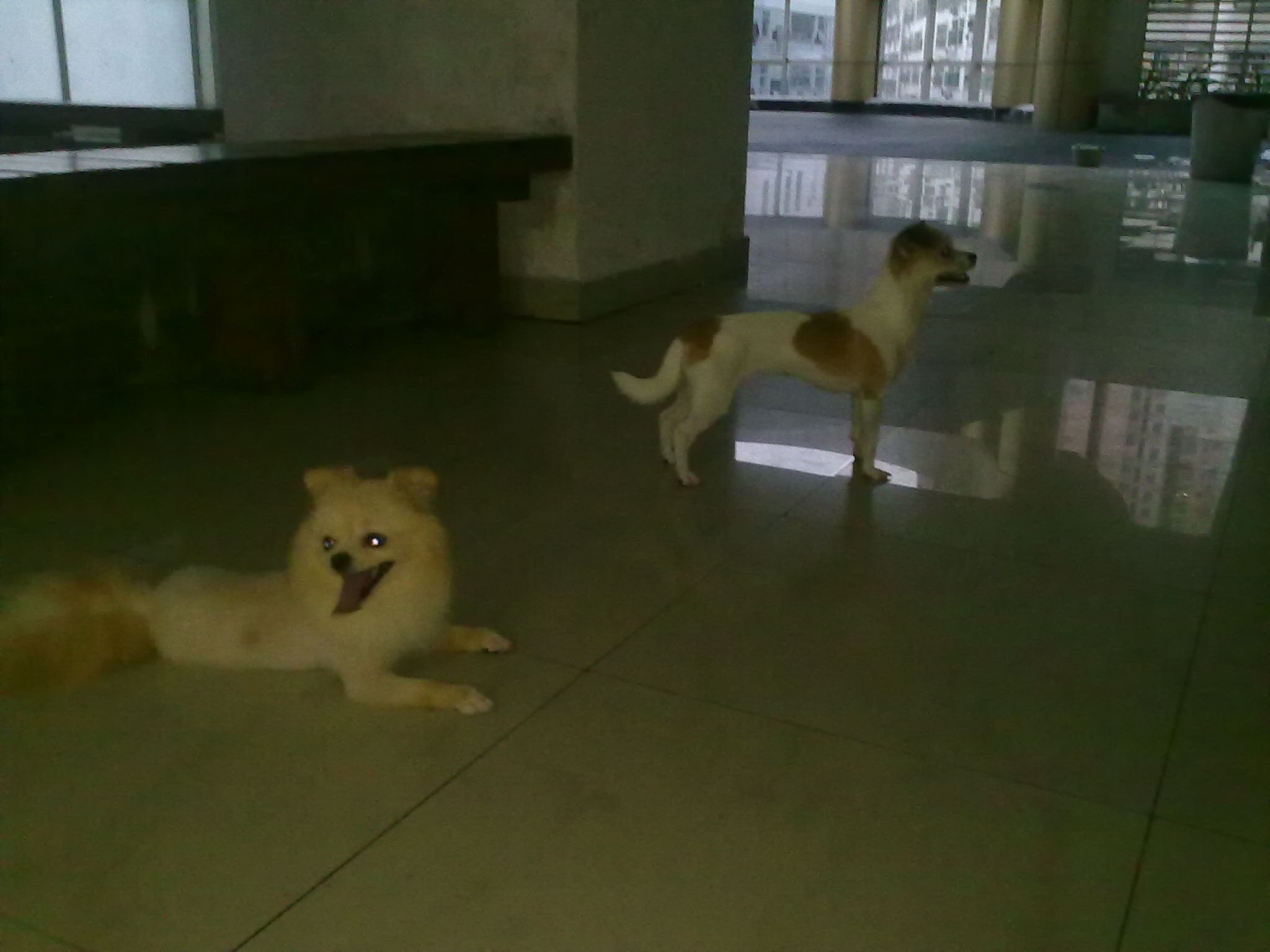 20100816668.jpg