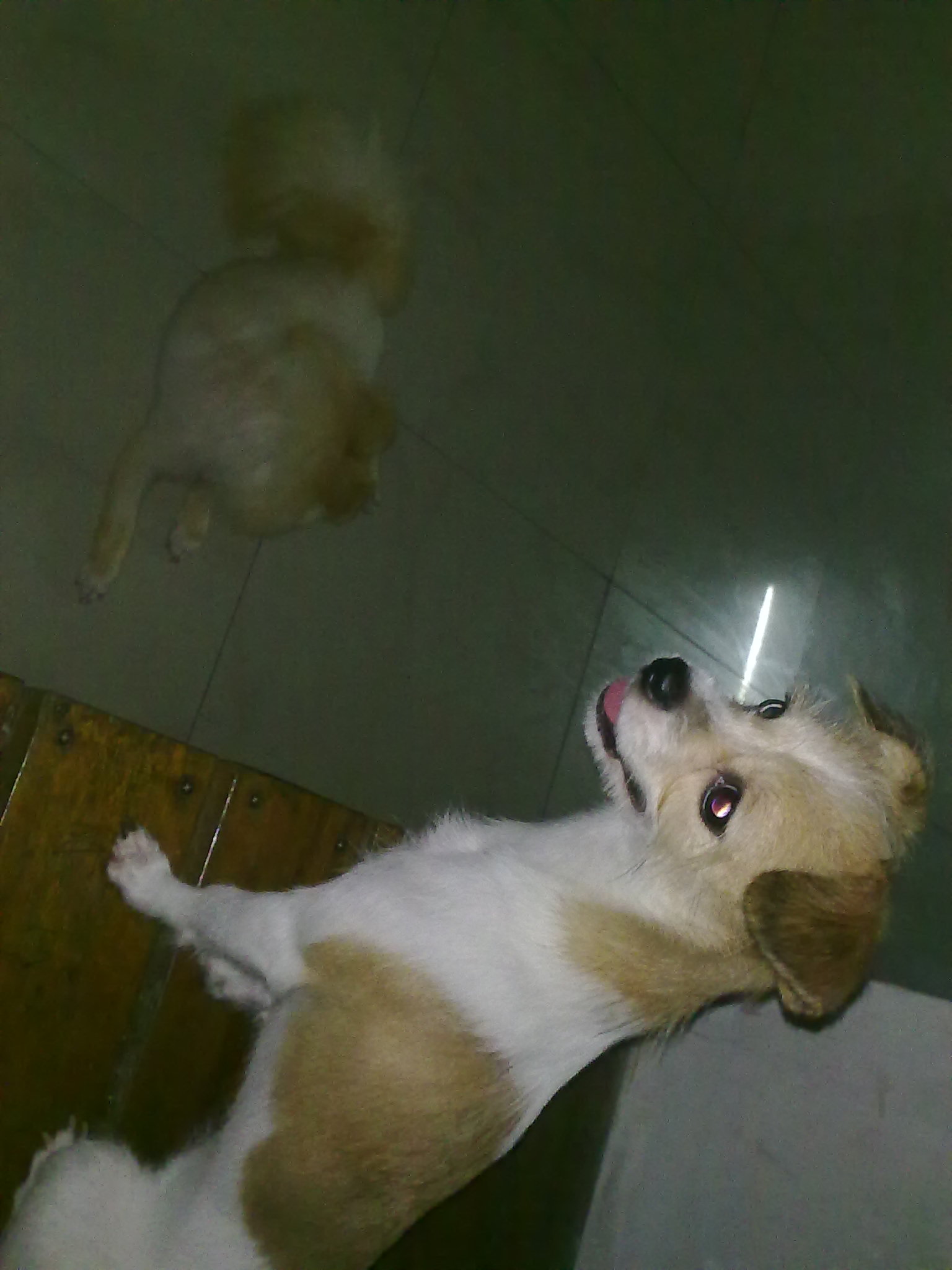 20100816677.jpg