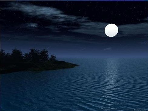 1c2f77d5f6818ee2a144df9f.jpg