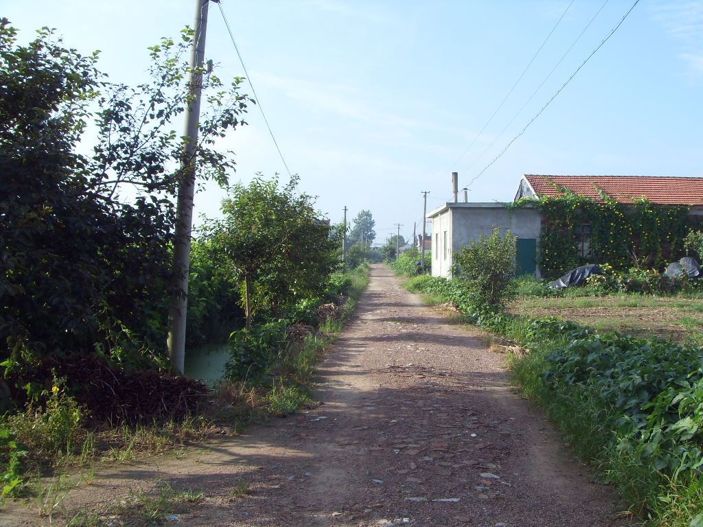 SDC11350.JPG