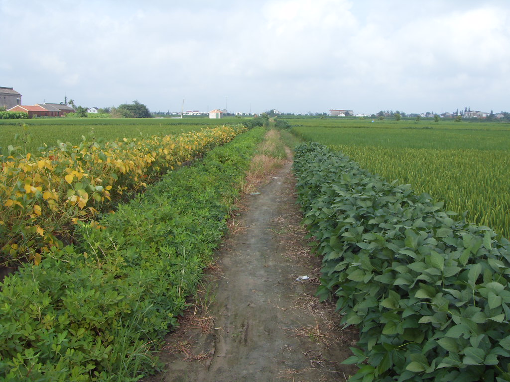 SDC11372.JPG