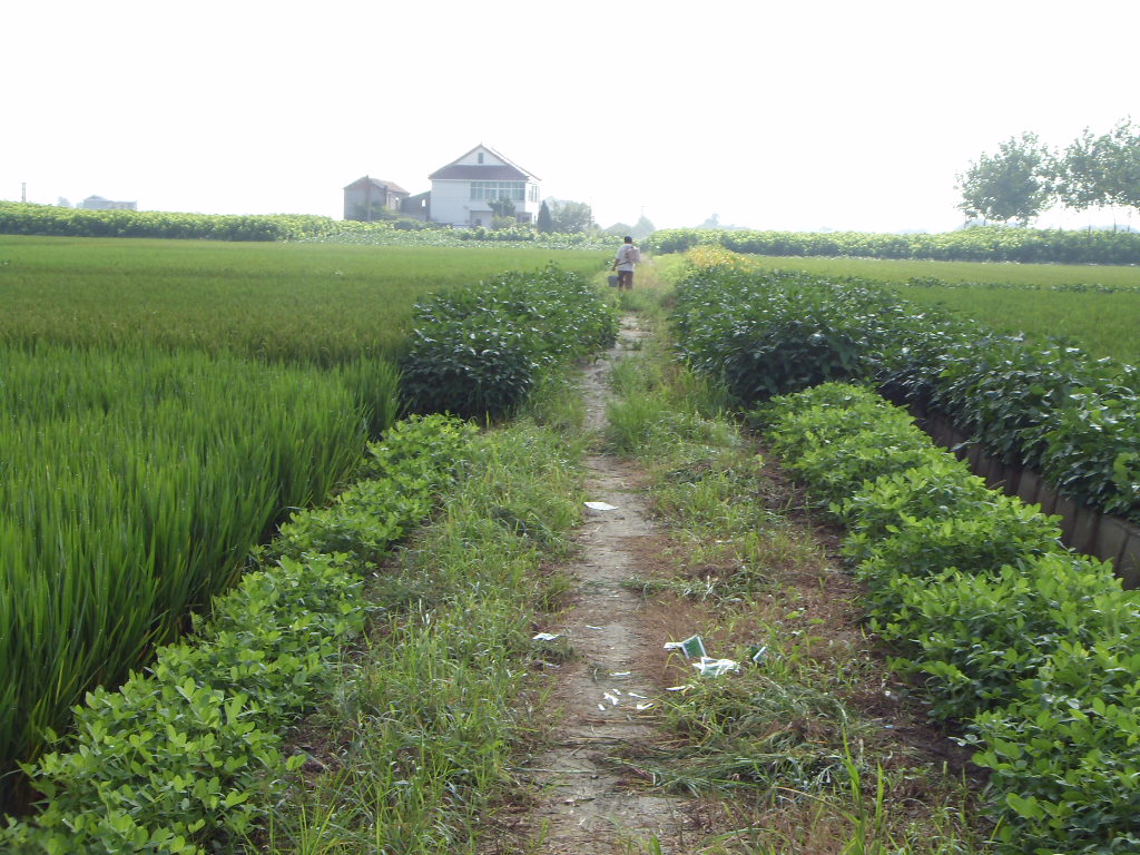 SDC11366.JPG