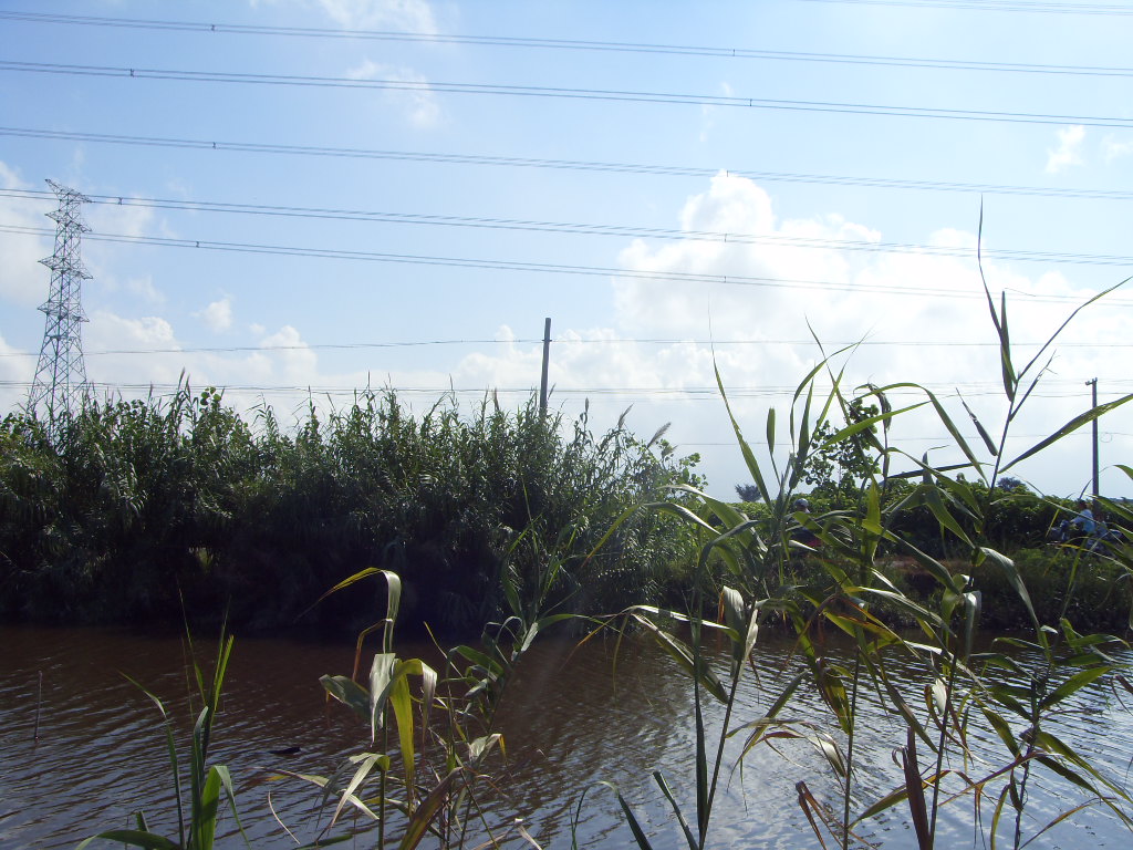 SDC11406.JPG