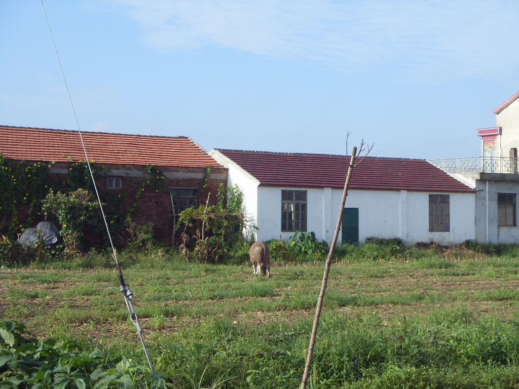 SDC11352.JPG