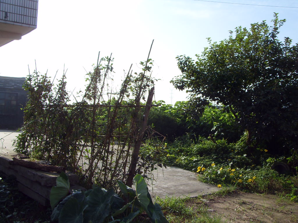 SDC11351.JPG