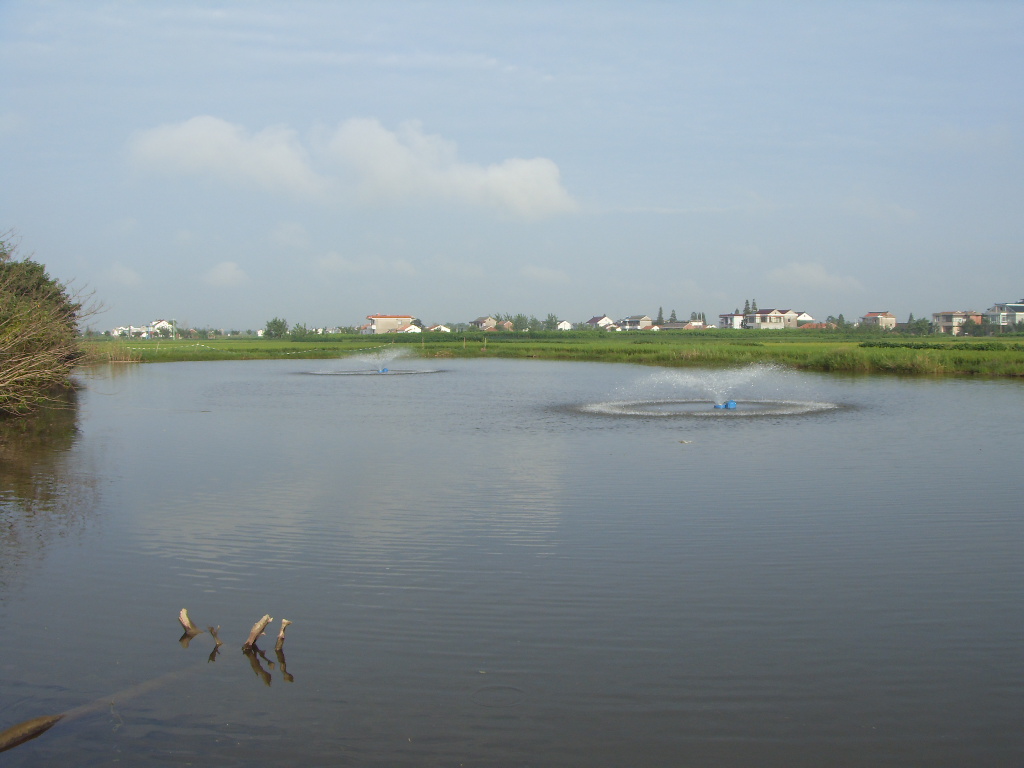 SDC11353.JPG