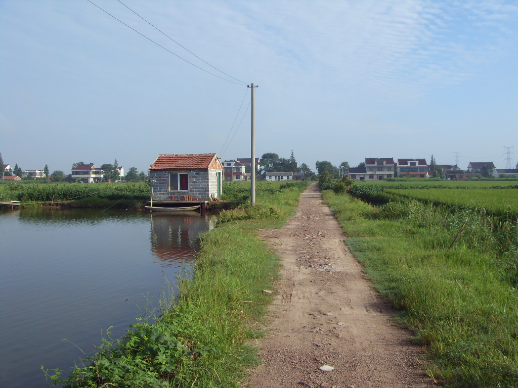 SDC11355.JPG
