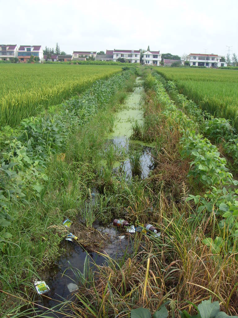SDC11367.JPG