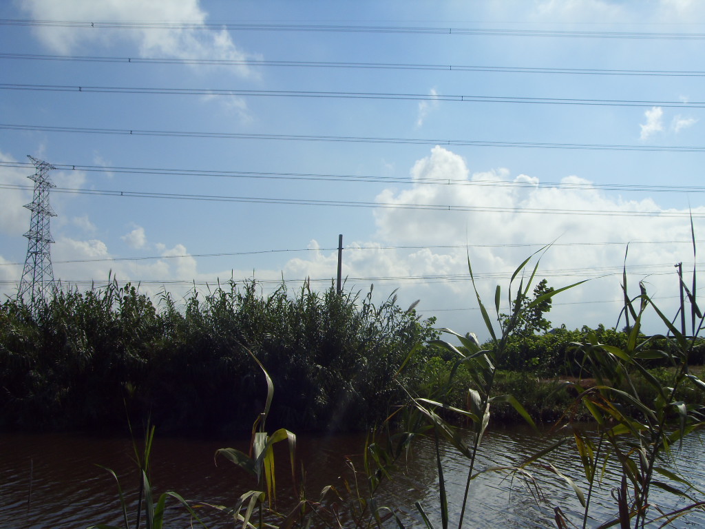 SDC11404.JPG