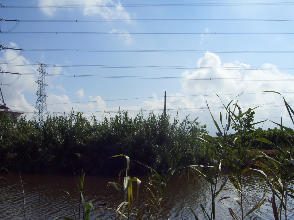 SDC11405.JPG